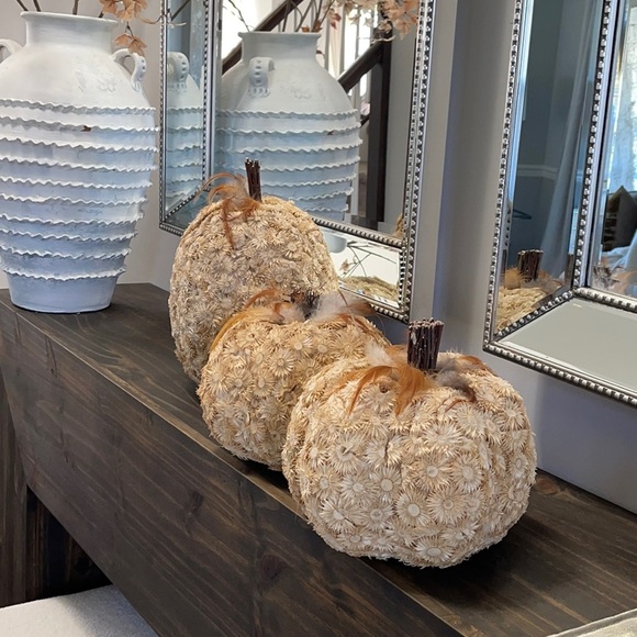 3 pier one pumpkins